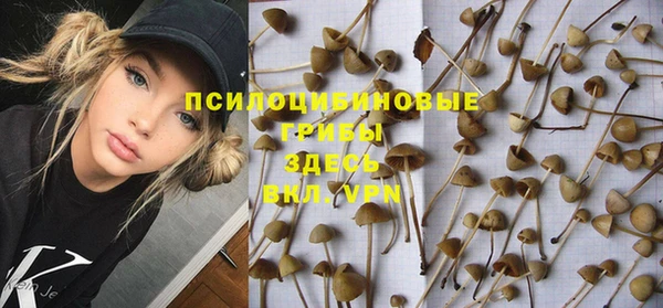ешки Медвежьегорск