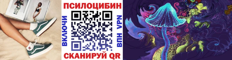 цена наркотик  Княгинино  Галлюциногенные грибы Psilocybe 